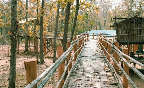 Kawal Tiger reserve.