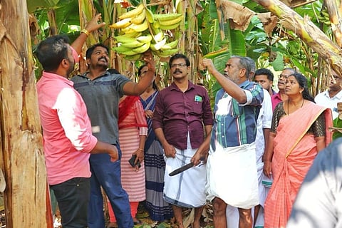 S P Sujith started a model farm at Arthunkal in the Cherthala South panchayat of Alappuzha
