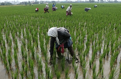 Image used for representational purposes only