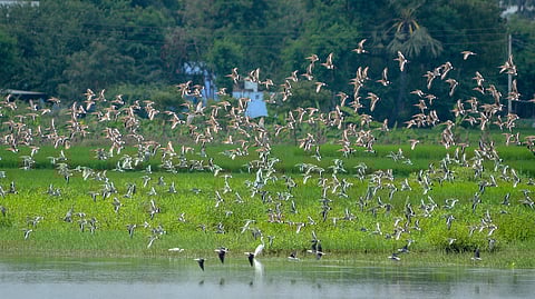 Representative Image