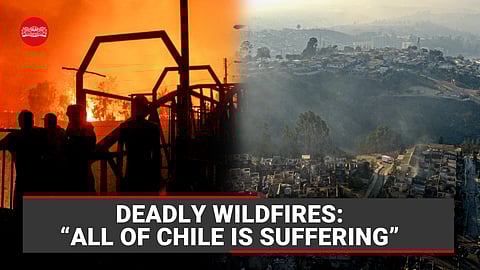 Over 100 dead, 1,600 rendered homeless as Chile forest fires rage on 