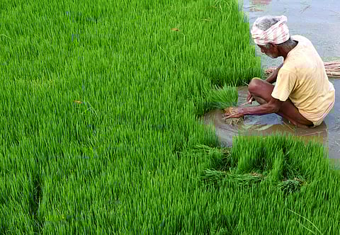 Image of a farmer at work used for representational purposes only