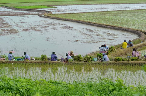 Farm workers eating their noon meals at a paddy field in Tirunelveli