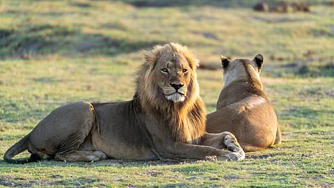 Image used for representational purposes only.