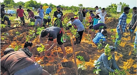 Members of the Chennai Trekking Club, as part of their green initiative started Ainthinai, an environmental organisation to increase the green cover. 