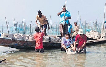 Prof Sahoo and Sanjukta releasing the artificial reefs in Chilika lake