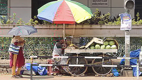 Scorching sun forces fruit vendor to cover watermelons using cardboard sheets in Thiruvananthapuram on Monday.
