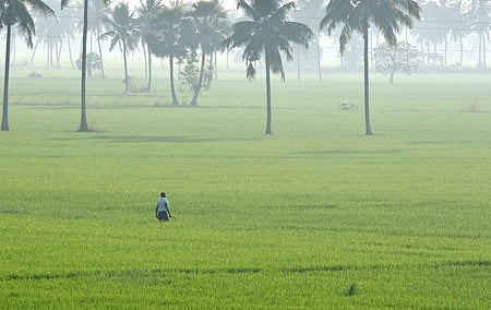 Image used for representation.