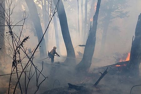 This handout picture released by Argentina's National Parks shows firefighters working during the wildfires at the north slope of Cerro Capitan.