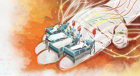 There is a mafia involved in living organ donation.