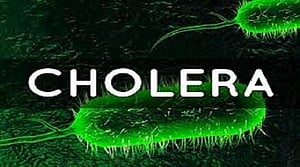 No cholera outbreak in Bengaluru: Top official 