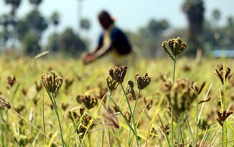 Image used for representational purposes only