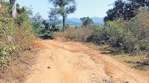 The poor roads around Elluparai often cause vehicles to overturn and give chronic back pains to regulars on the route. 