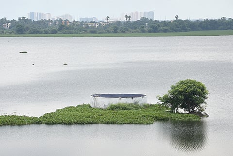 Madambakkam lake at Tambaram.