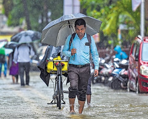 IMD predicts snowfall in Himalayas, rain in plains; wheat crop may suffer