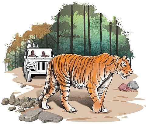 Image used for representation.