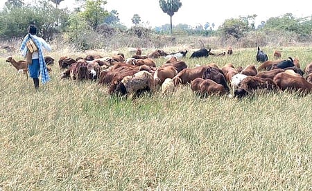 Image used for representative purpose only