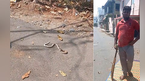 Snake rescuers in Coimbatore are up in arms against a youth who had killed a common cobra that entered near his house.