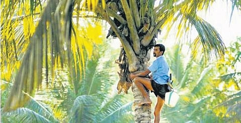 The excise department permit allows for transportation of 2.05 lakh litres of toddy daily from Chittur.