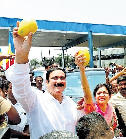 Sowmiya with Anbumani Ramadoss after filing nomination papers 