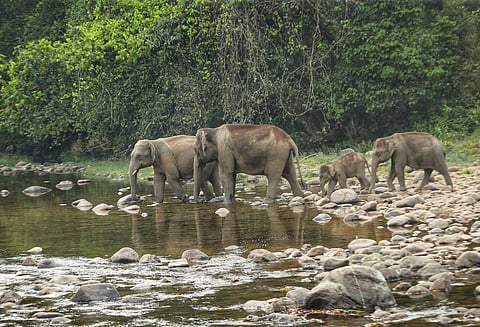 Image used for representative purposes 