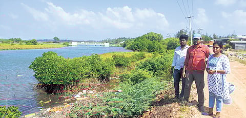 Members of NEWS near the mangrove forest they built 
in Karaikal district 