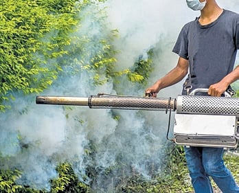 Image used for representation