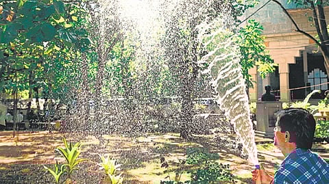 According to officials, separate water tankers will be deployed and borewells are being cleaned in a few parks.