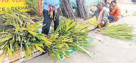 Ketaki flowers, offered to Lord Shiva only on Shivaratri, are high in demand in Berhampur market | Express