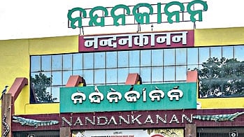 Ropeway was in maintenance: Nandankanan management