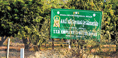 Plots allotted to TTD employees at Padiredu village in Chittoor district 