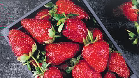 Strawberries