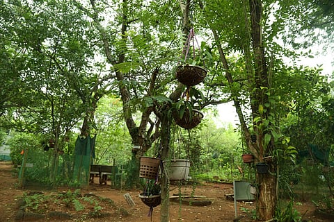 Image used for representational purposes only