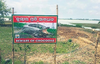 A signboard near Bhitarkanika warning villagers about presence of crocodiles