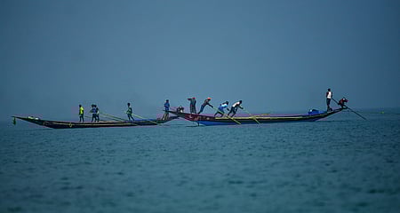 Chilika lake fishing.