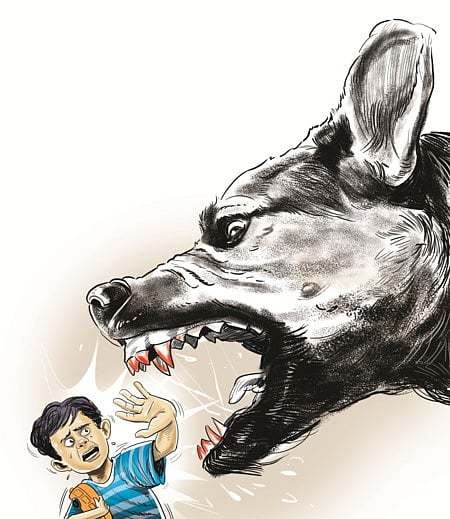 Image used for representation