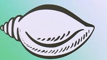 BJD symbol used for representational purposes only