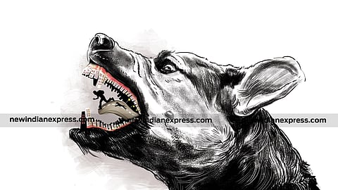 Image used for representational purposes.