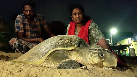 Dr. Supraja Dharani, marine conservator and founder of TREE Foundation