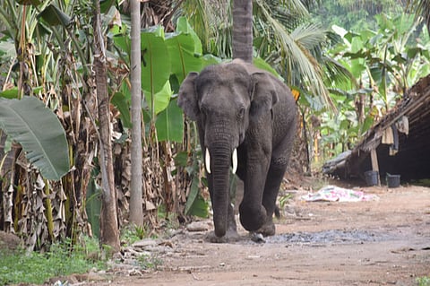 Image used for representational purposes only