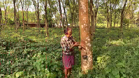 Image used for representational purposes.