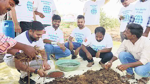 Seven alumni of King’s College of London preparing ghanajeevamrutham balls at a field in Anantapur as part of ‘Giving Back to Society’ initiative. 