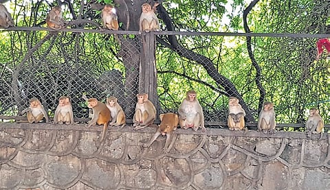 The Greater Kailash assembly segment is an integral part of the New Delhi constituency.