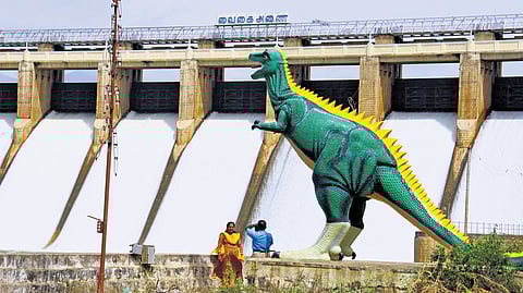 Vaigai Dam in Theni district 