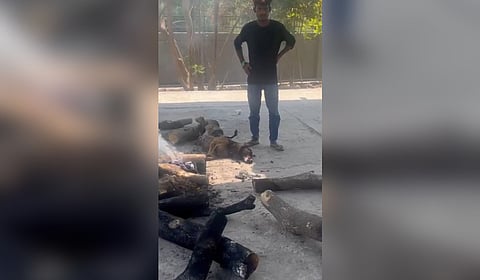 Screengrab from a video where a family tried to cremate their dog with religious rituals at a crematorium in Gautam Budh Nagar district of Uttar Pradesh but were stopped midway by the angry villagers.