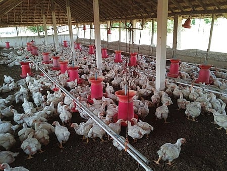 Representative Image.