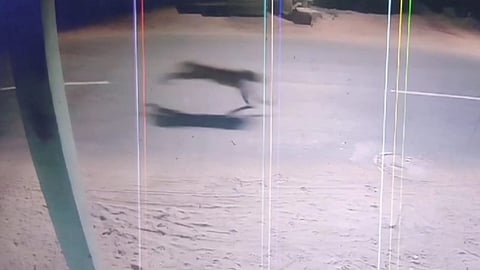 A surveillance camera footage showing the leopard running on the road near Semmangulam in Mayiladuthurai on Tuesday night.