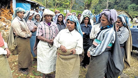 Tea estate workers of Valparai during a protest demanding reconstruction of houses damaged in elephant attack
