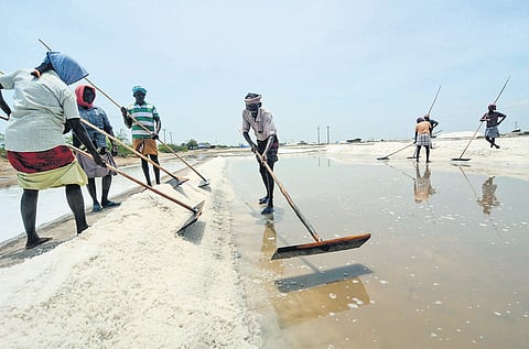 Salt pan workers at Tharuvaikulam in Thoothukudi