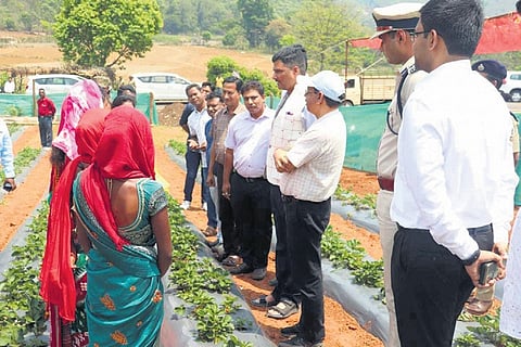 Jena and other officials interacting with strawberry farmers in Kotia